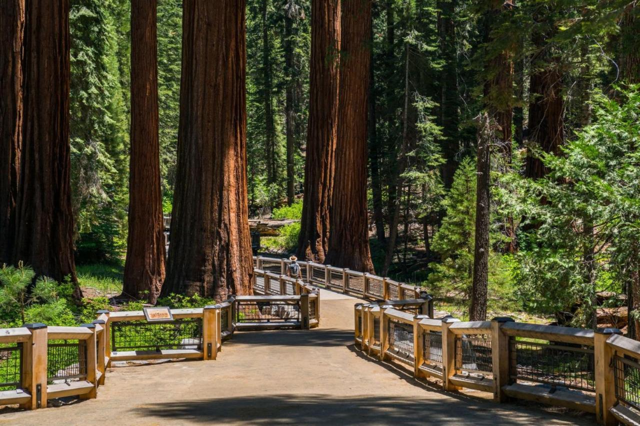 Fairfield & By Marriott Yosemite 3* Oakhurst